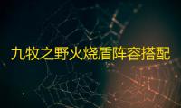 九牧之野火烧盾阵容搭配攻略